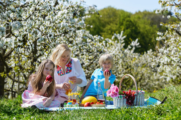Happy young family has picnic in beautiful  blooming cherry  garden on a sunny day