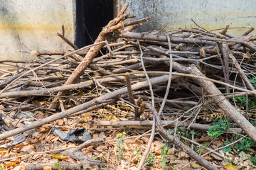 wood pile