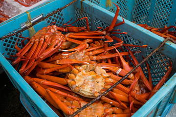 水揚げされたカニ