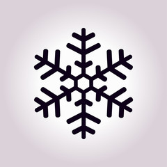 Obraz premium Snowflake icon. New Year decoration. All to celebrate the New Year and Christmas.