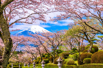 Peace Park and Mt. Fuji in Spring