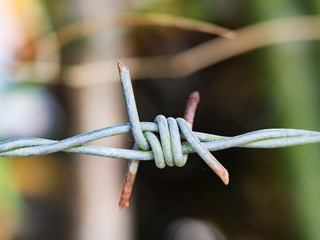 rust barbed Wire with green nature background.