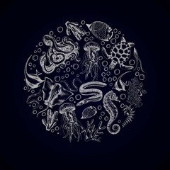 Set of marine animals