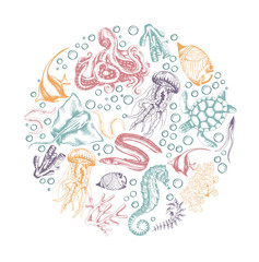 Set of marine animals