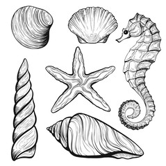 set of stylized seashells © Сергей Долинин