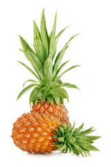 Fototapeta premium two ripe pineapple isolated on white background