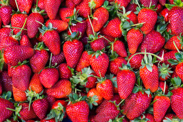 red strawberry. background