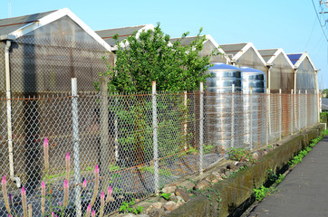 Plant hut/ Green house with water tanks