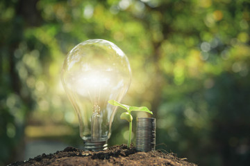 Light bulb, coins, and plant on the ground.