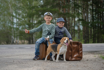 Two boys sitting on suitcases on the side of the road with a Beagle