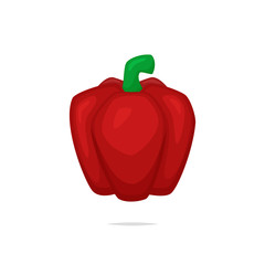 Bell pepper vector isolated