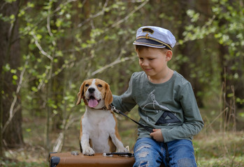 The boy and the Beagle is in a pine forest with a large suitcase