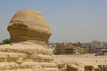 The Sphinx looking towards Cairo