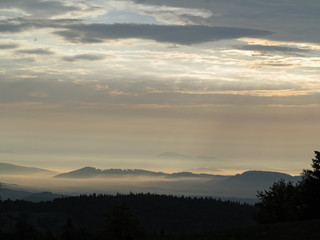 Landscape in the early morning