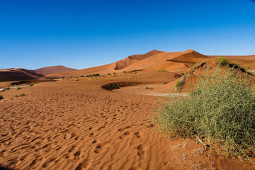 Namibia - Dead Vlei