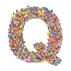Letter Q alphabet with butterfly ABC concept type as logo isolated on white background