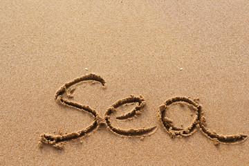 Sea word handwritten on the sand background