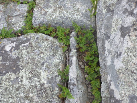 hintergrund