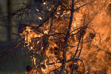 wood in fire - Walpurgis Night Fire, Halloween