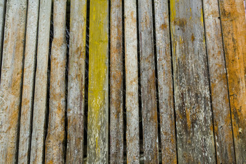 von Moos gefärbte Holzwand als Hintergrund