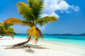 Deurstickers Strand en zee Beautiful tropical beach at Caribbean