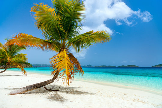 Fototapeta Beautiful tropical beach at Caribbean