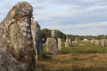 Carnac : les alignements de menhirs bretons