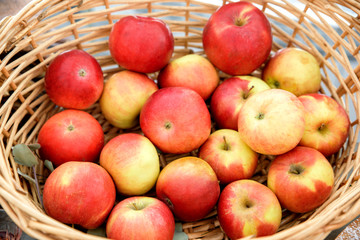Fresh ripe apples in basket