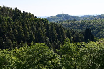 Natura intorno la città