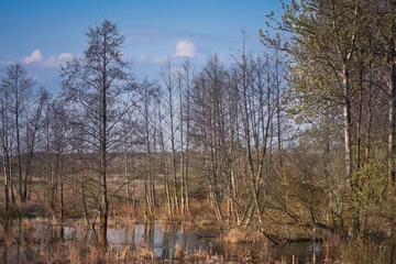 Foto auf Leinwand Wiosna nad rzeką © Mariusz Stoszewski