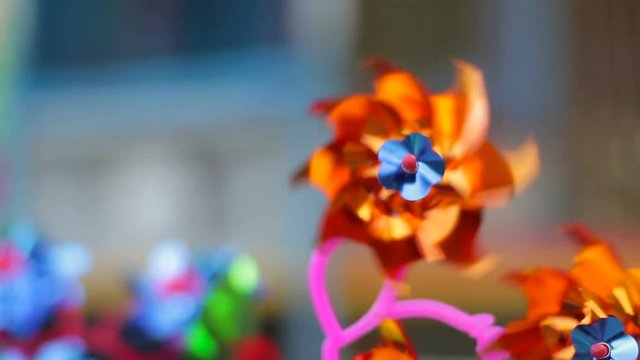 Decorative children's weathercocks in the form of flowers. Spinning