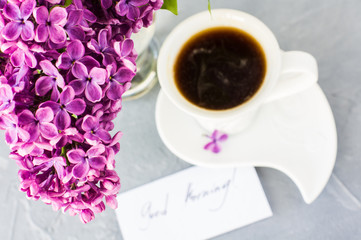 Spring concept with lilac flowers