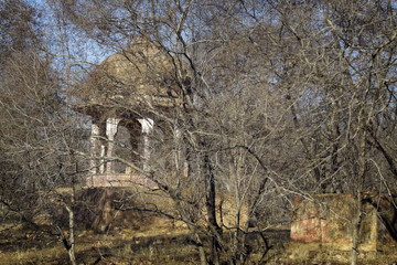 A derelict pagoda is almost overgrown by trees and bushes in Ranthambore National Park, India.