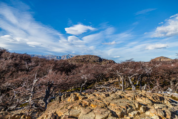 Amazing photos of Patagonia
