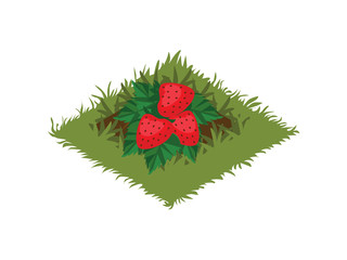 Isometric Cartoon Fruit Garden Bed Planted with Strawberry Bush - Elements for Tileset Map, Landscape Design or Game Object in Colorful Detailed Vector