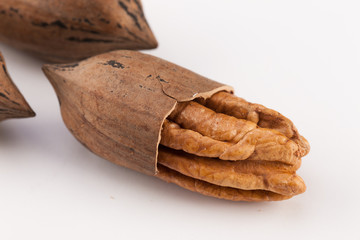 Pecan nuts isolated on white background