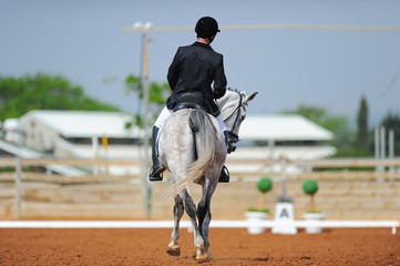 Dressage rider on a bay horse
