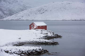 Lonely fishing house of Lofoten