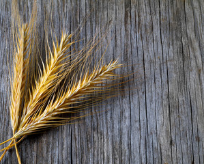 three rye ears on wooden table, top view, copy space