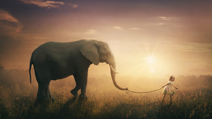 Obraz premium Słoń szedł obok dziecka