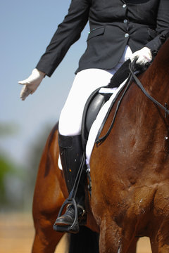 Close up on a bay horse with rider during a dressage competition
