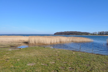 Boddenlandschaft, Hafen Grubnow auf Rügen