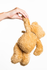 Closeup of female hands holding small cute toy bear isolated on white background. Vertical color photography.