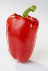 coloured bell peppers on white Background