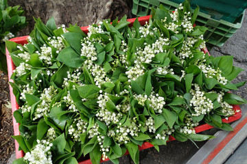 vente du muguet