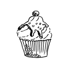 Hand drawn cupcake isolated on white background. Sketch, vector illustration.