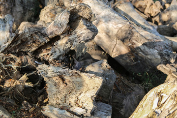 Pile of wood in the garden