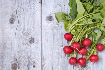  Fresh vegetables. Red juicy radish on a gray wooden table.