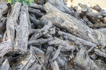 Pile of wood in the garden