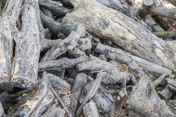 Pile of wood in the garden